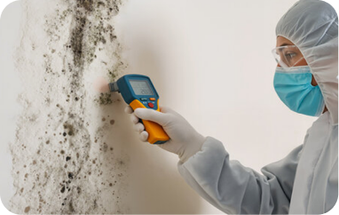 Asbestos testing and environmental inspection services in Texas