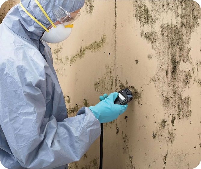 Real Estate Mold Inspection with air and surface mold sampling