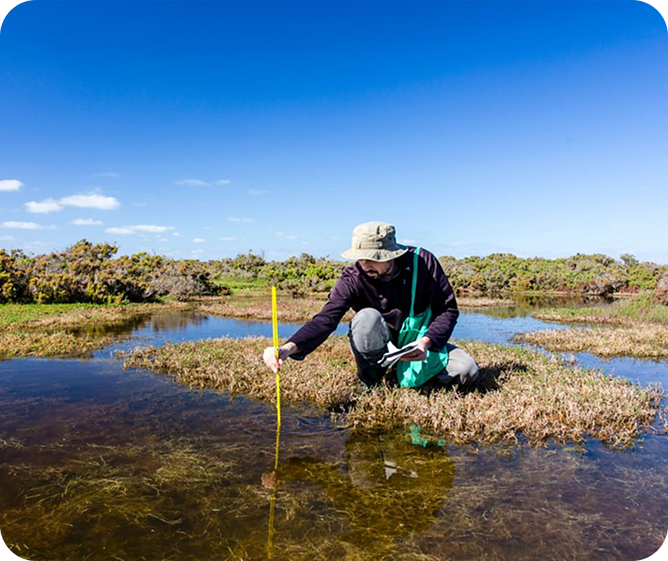 Wetland Consulting Services for wetland delineation and boundary mapping