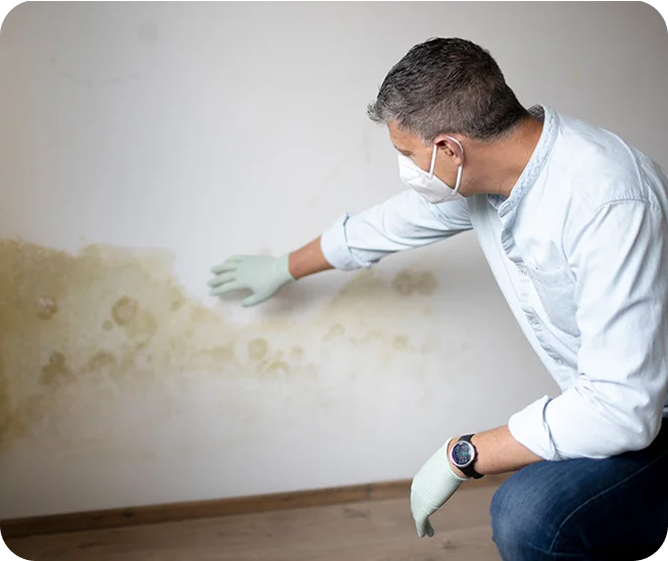 Real Estate Mold Inspection and moisture assessment before property purchase