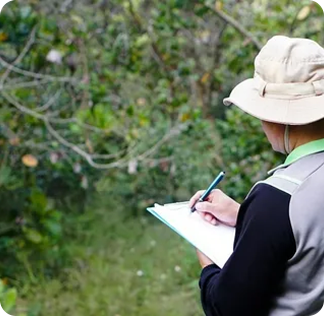 Wetland Consulting Services for jurisdictional determination and Section 404 permitting