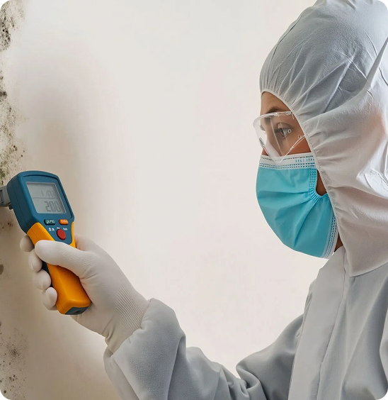Mold Inspection and Testing consultation for suspected indoor mold problems